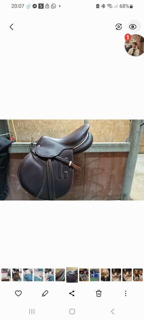 Selle cso GBS
