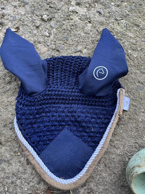 Bonnet
