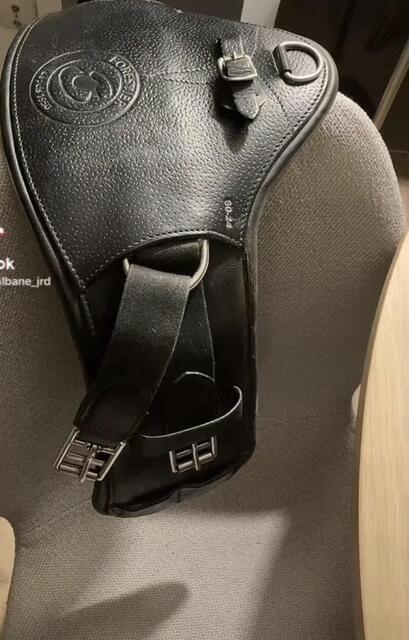Sangle courte de dressage forestier