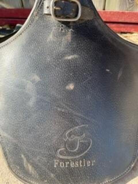 Bavette cheval forestier