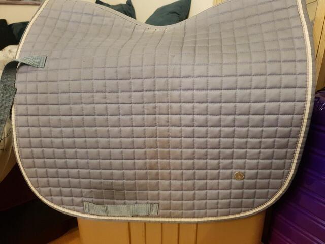 Tapis felix bulher