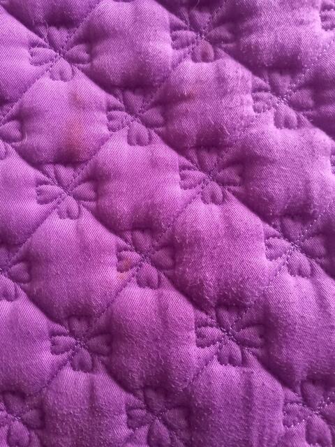 tapis de selle matelasse poney lucky unicorn waldhausen