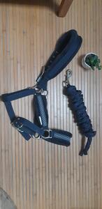 Licol et longe bleu marine