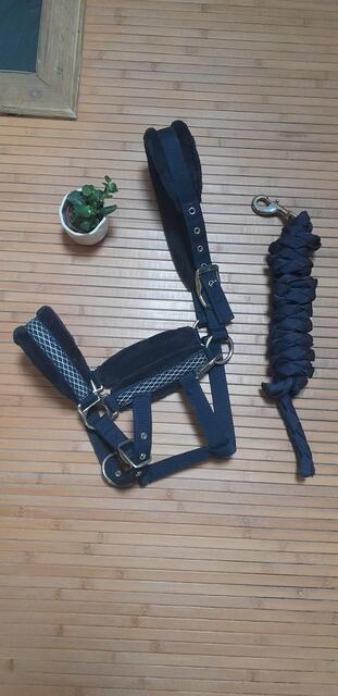 Licol et longe bleu marine