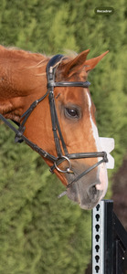 Bridon CWD