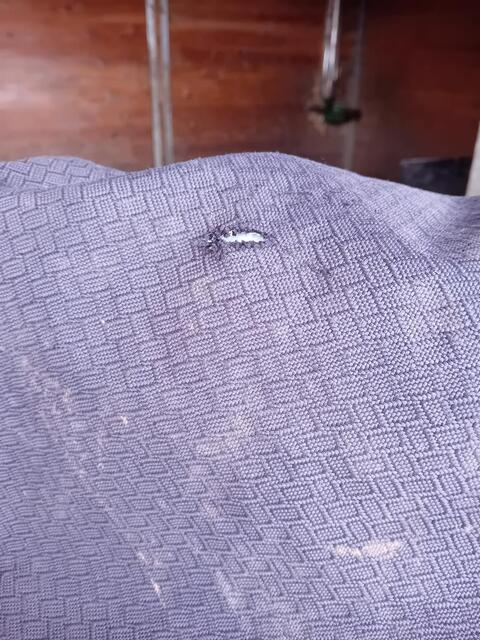 Weatherbeeta impermeable