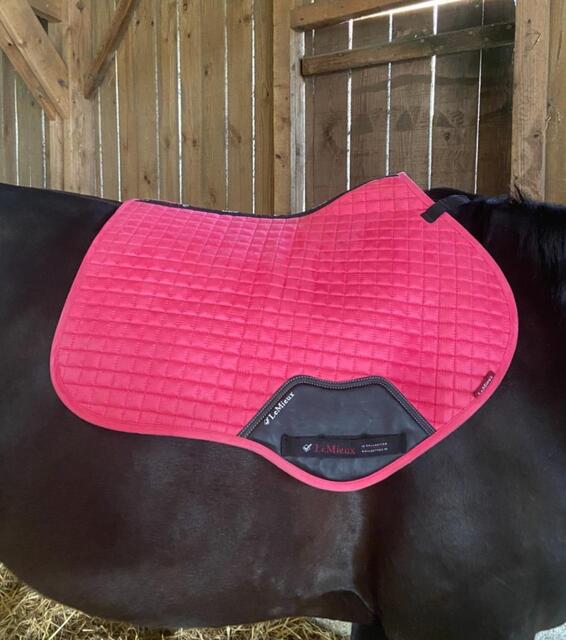 Tapis de selle rose le mieux