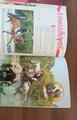 Lot de 2 livres