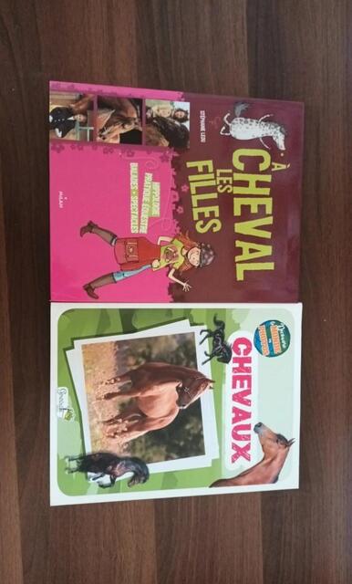 Lot de 2 livres