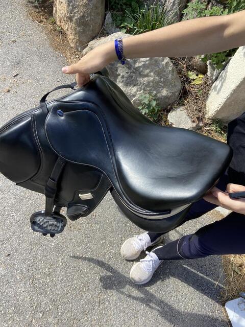 Selle ickonic