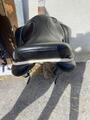 Selle ickonic