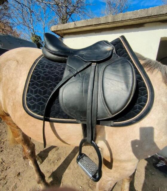 Selle Eric Thomas 17,5