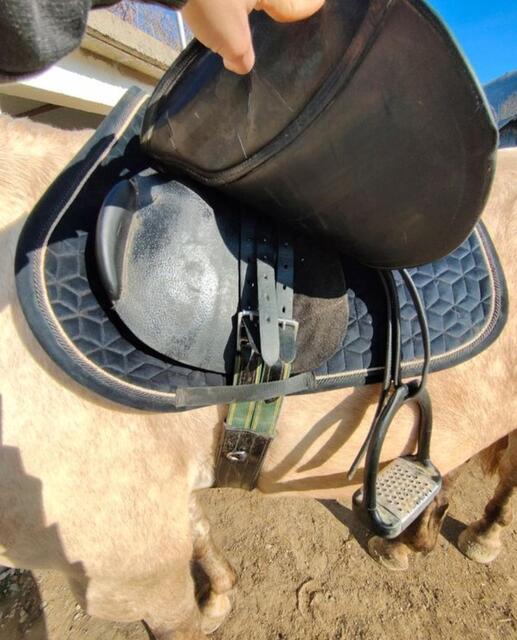 Selle Eric Thomas 17,5