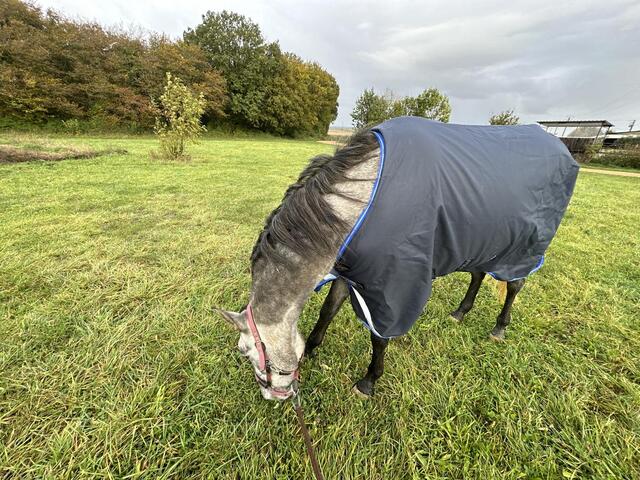 Couverture Horsewear