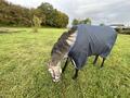 Couverture Horsewear