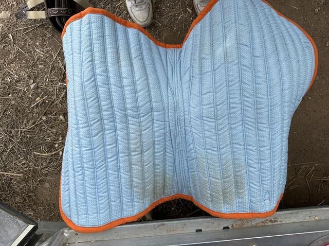 Tapis Silver Crown