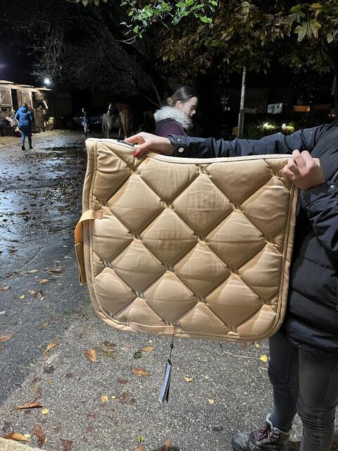 tapis de dressage
