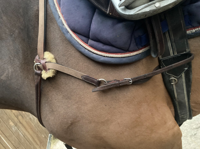 Collier de Chasse Devoucoux