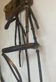 Bridon taille cheval marron