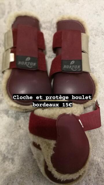 Lot guêtre et cloche Norton