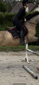 Tapis equisense
