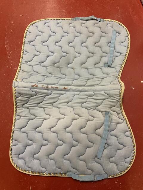 Tapis bleu poney