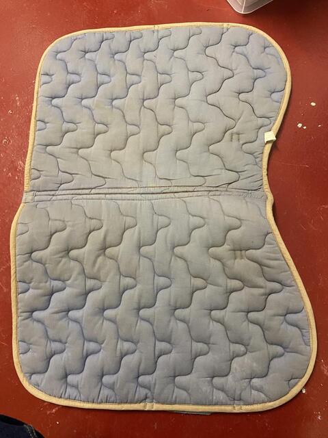 Tapis bleu poney