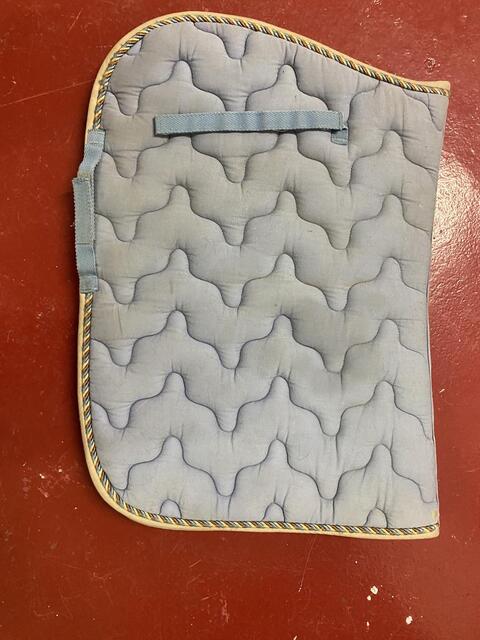 Tapis bleu poney