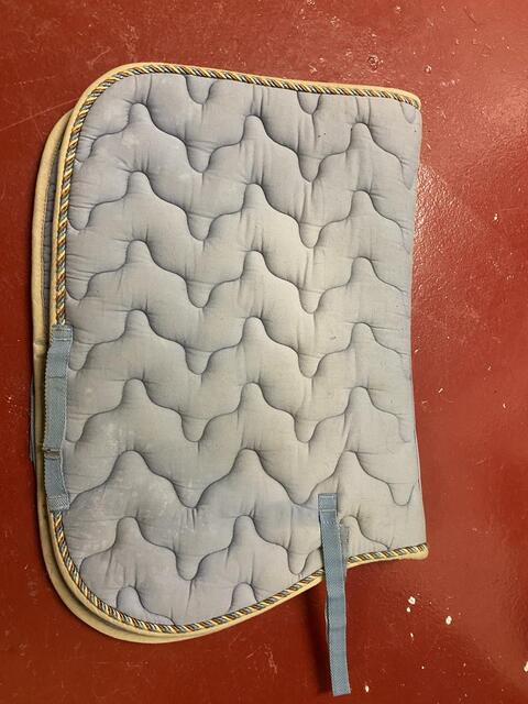 Tapis bleu poney