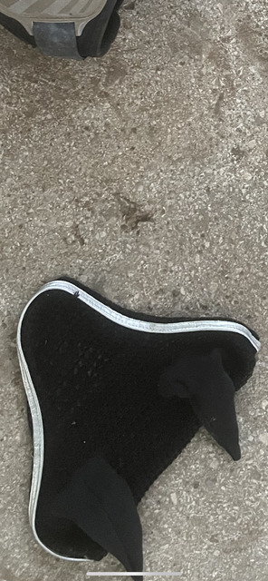 Bonnet