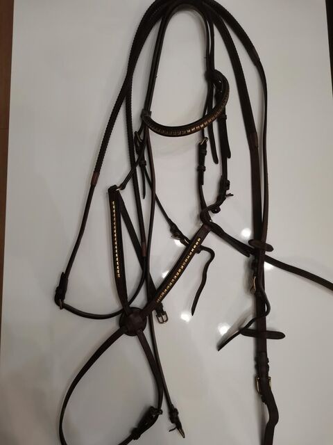 Bridon Cheval Hervé Godignon