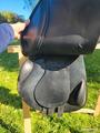 Selle Prestige 17"