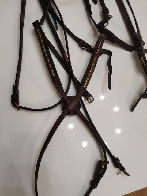 Bridon Cheval Hervé Godignon