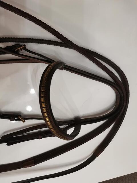 Bridon Cheval Hervé Godignon