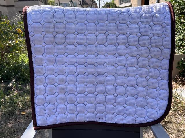 Tapis de dressage
