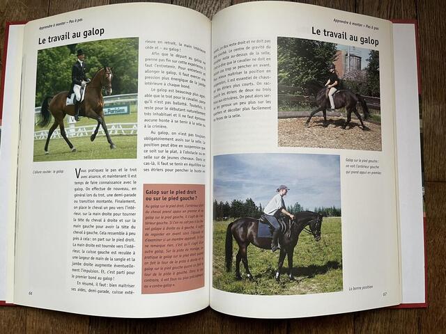 Livre la grande école d’équitation