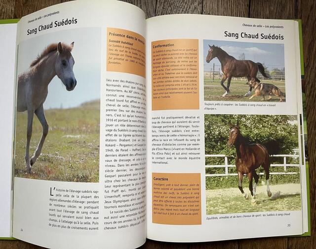 Livre le grand Atlas des chevaux