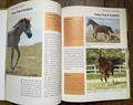Livre le grand Atlas des chevaux