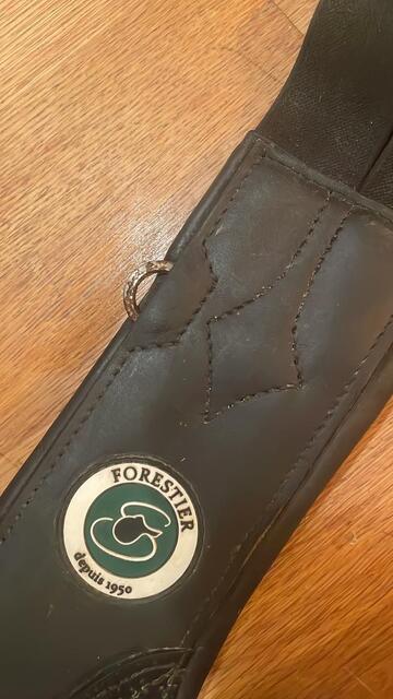Bavette forestier