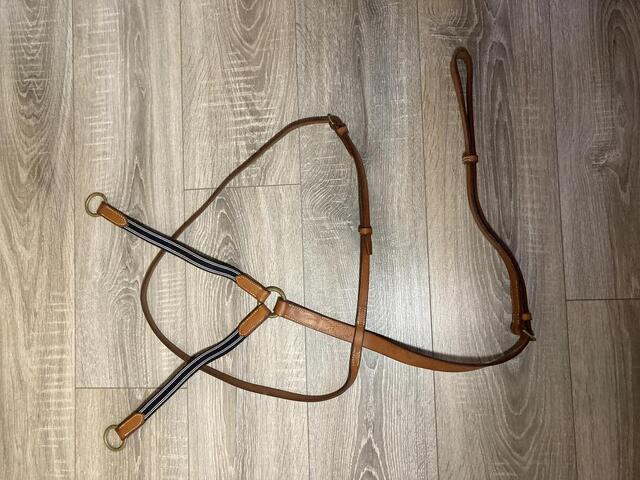 Martingale à anneaux