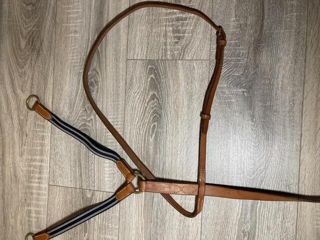 Martingale à anneaux