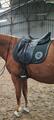 Selle de dressage Altaïr Antares 17,5 noire de juillet 2022