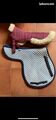 Tapis et amortisseur