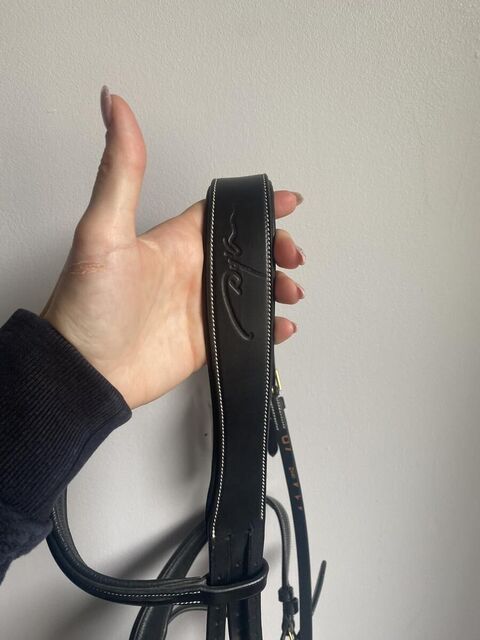 Filet Dy'on Anatomic Flash Noseband Bridle D Collection