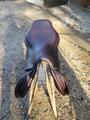 Selle mixte CWD 17,5
