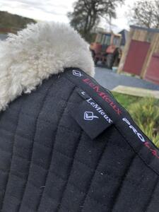 Amortisseur Le Mieux