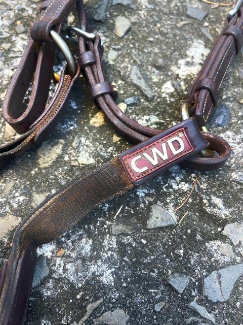 Collier de Chasse CWD à pont
