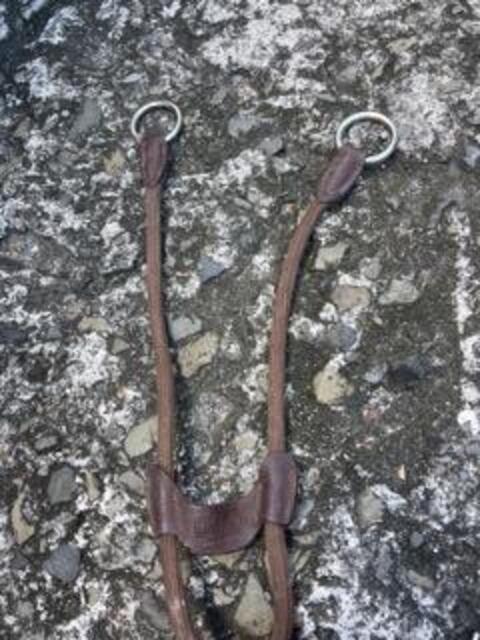 Collier de Chasse CWD à pont