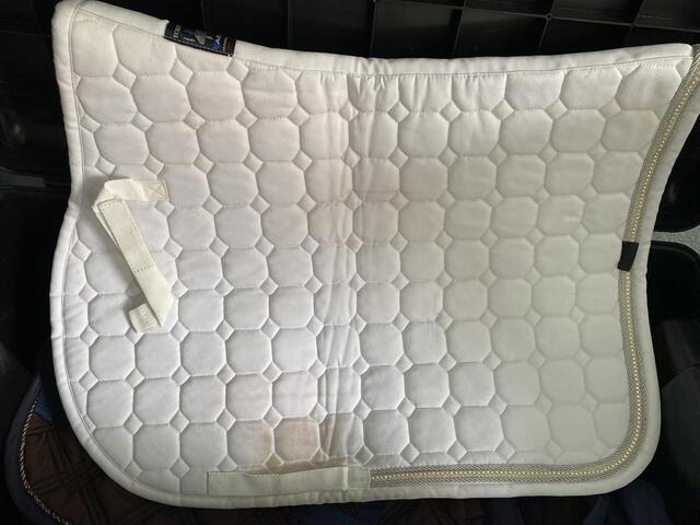 Tapis blanc equiline