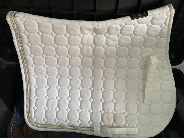 Tapis blanc equiline